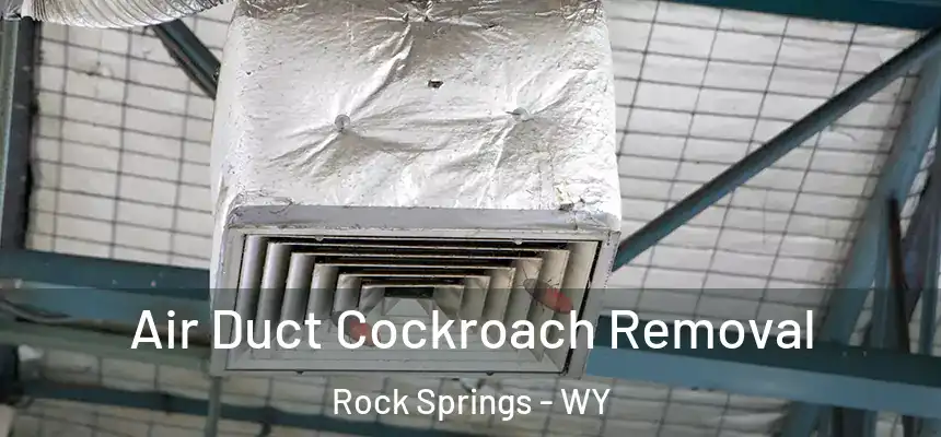 Air Duct Cockroach Removal Rock Springs - WY