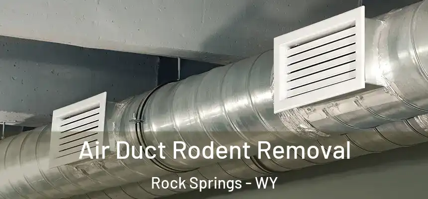 Air Duct Rodent Removal Rock Springs - WY
