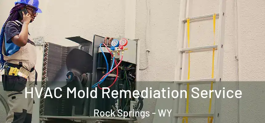 HVAC Mold Remediation Service Rock Springs - WY