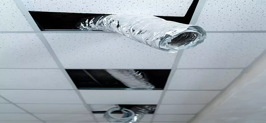 Our Air Duct Pet Hair Removal Services in Rock Springs, WY