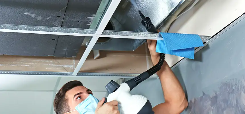 Our Air Duct Rodent Removal Services in Rock Springs, WY