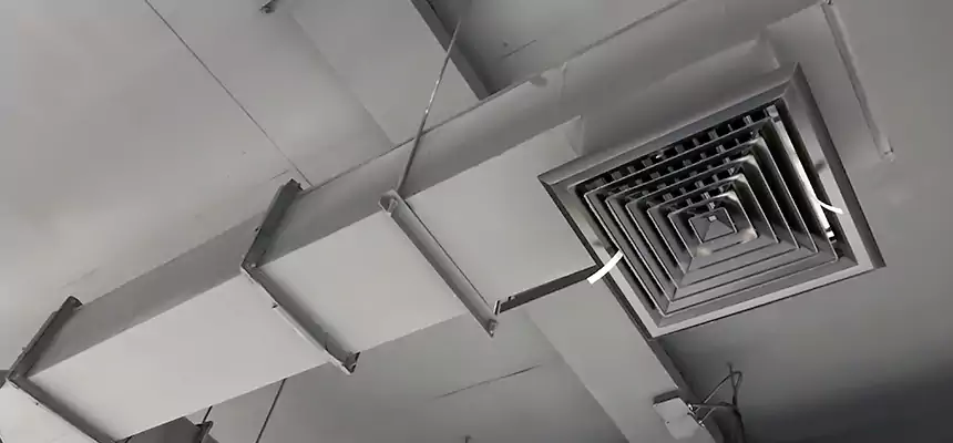 Our Rodent Droppings In Vents Services in Rock Springs, WY