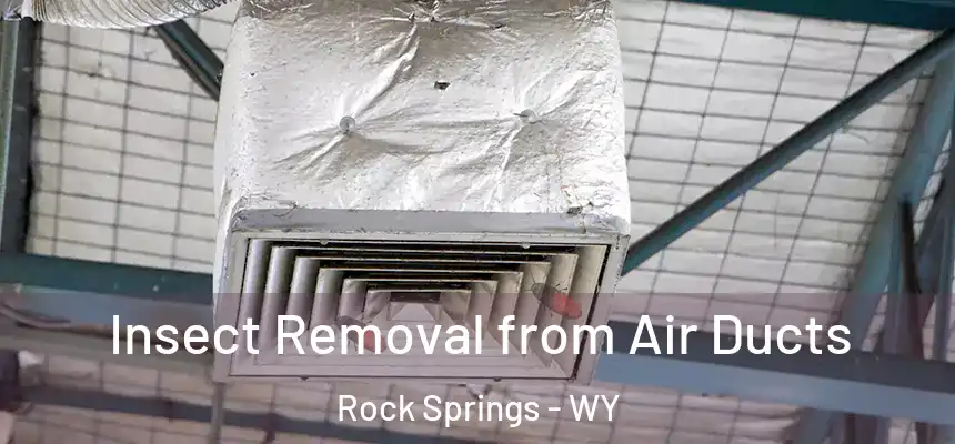  Insect Removal from Air Ducts Rock Springs - WY