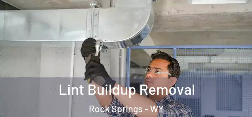 Lint Buildup Removal Rock Springs - WY