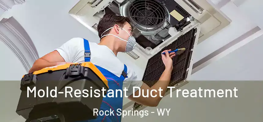  Mold-Resistant Duct Treatment Rock Springs - WY