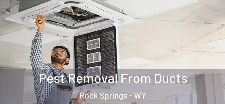 Pest Removal From Ducts Rock Springs - WY