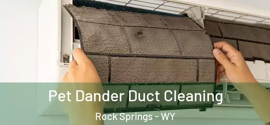 Pet Dander Duct Cleaning Rock Springs - WY