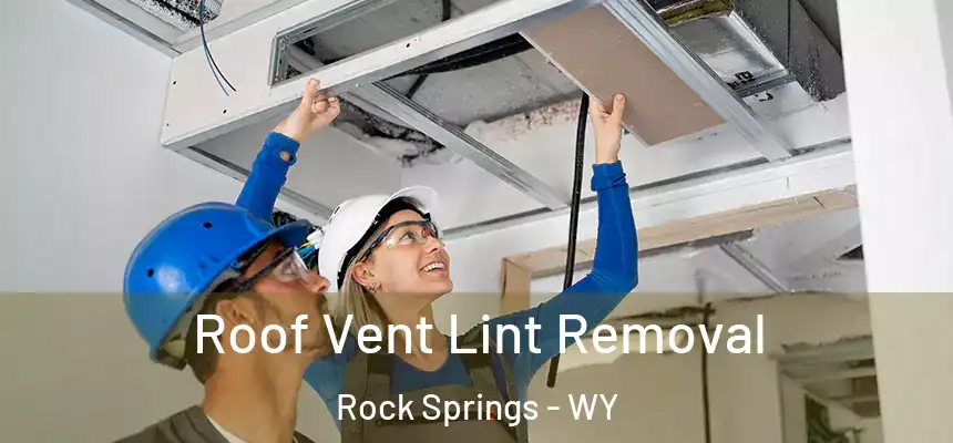 Roof Vent Lint Removal Rock Springs - WY
