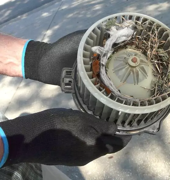 About Air Duct Mice Removal in Rock Springs, WY