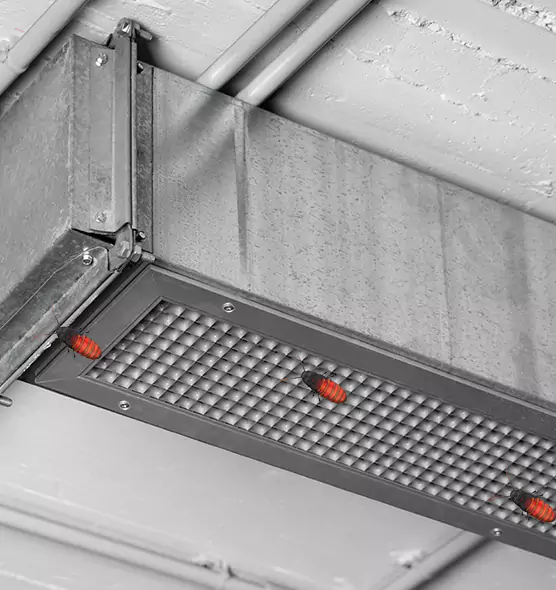 Affordable Insect Removal from Air Ducts in Rock Springs, WY